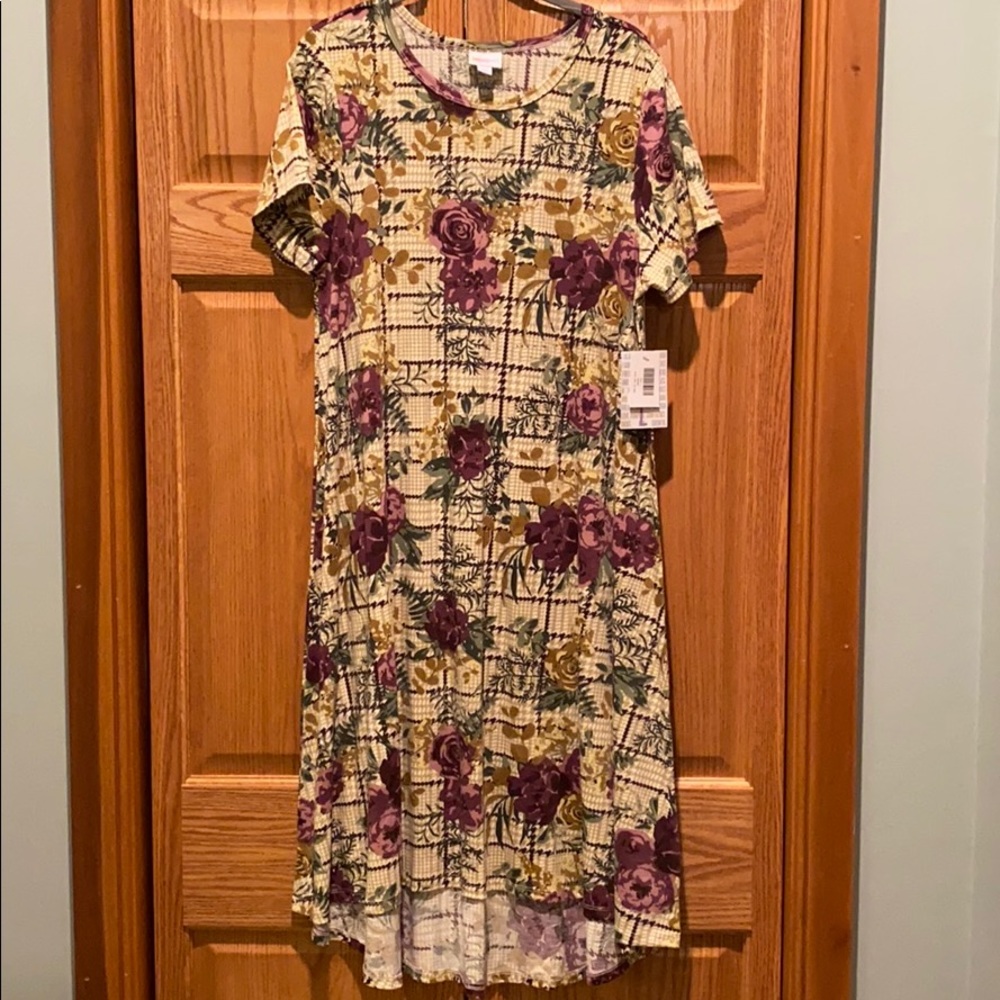 LuLaRoe Carly